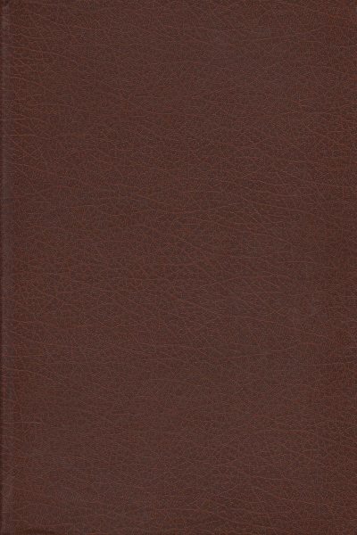 History of Italian painters of the nineteenth century 2 Vol, Enrico Somaré