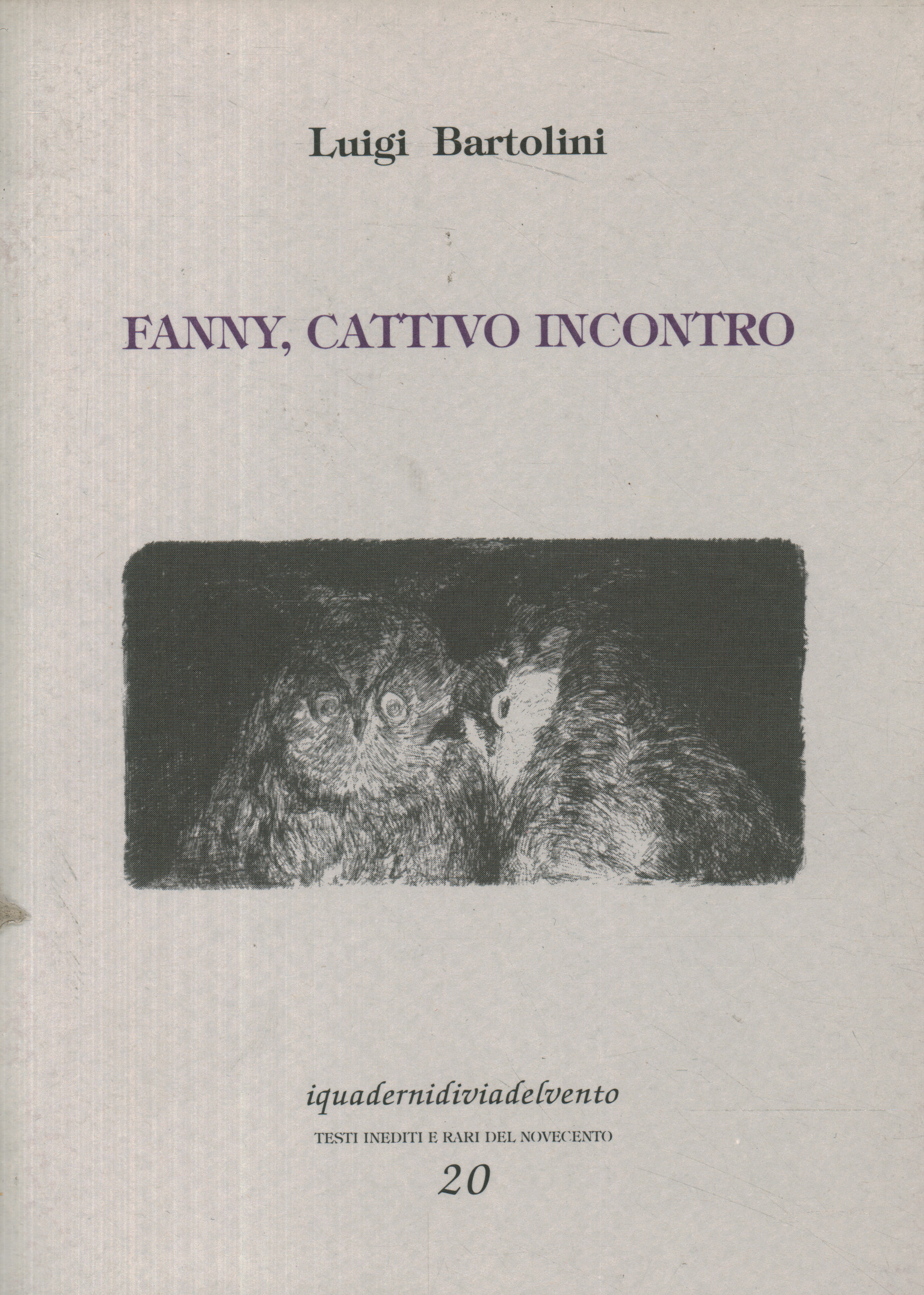 Fanny cattivo incontro