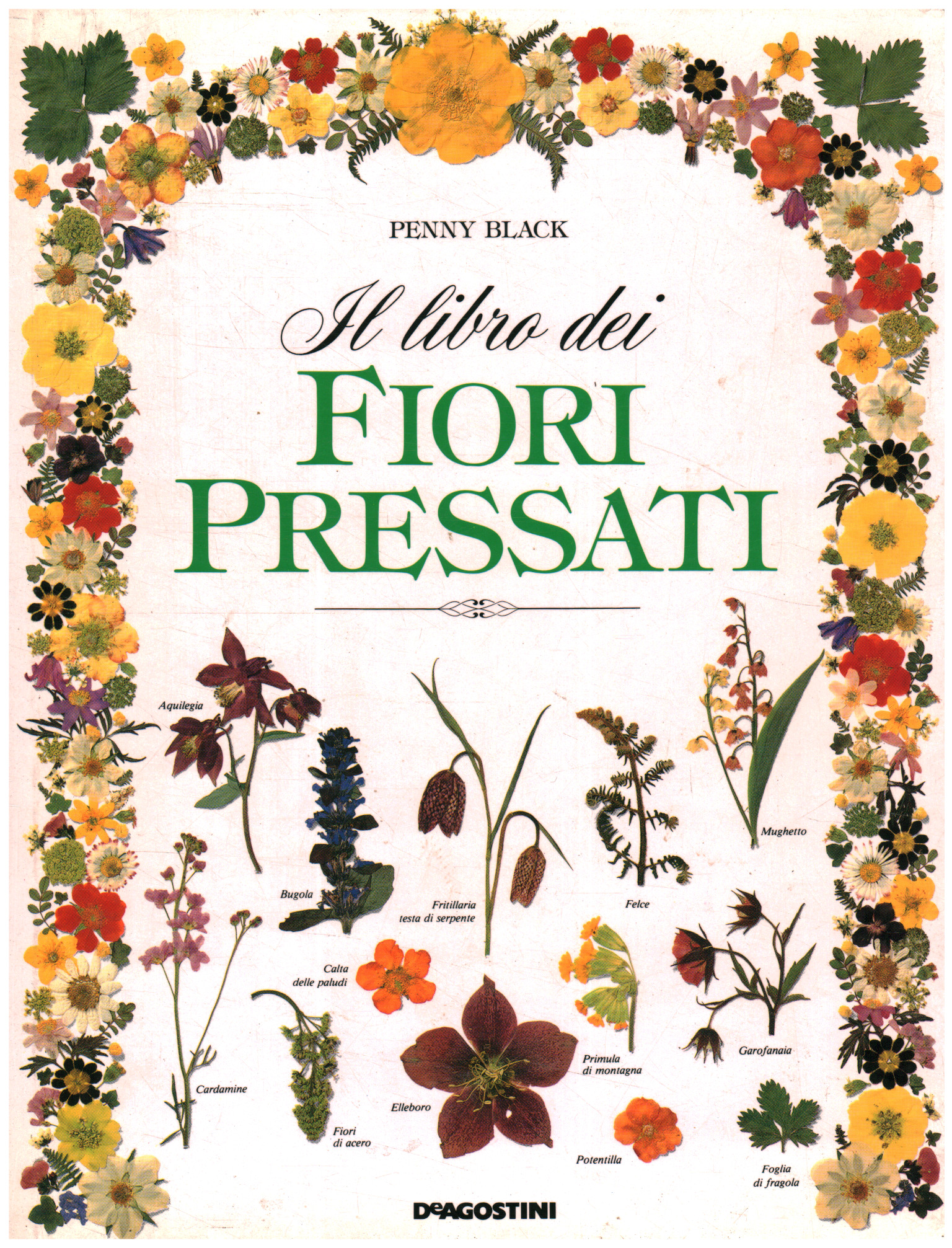 Das Buch der gepressten Blumen