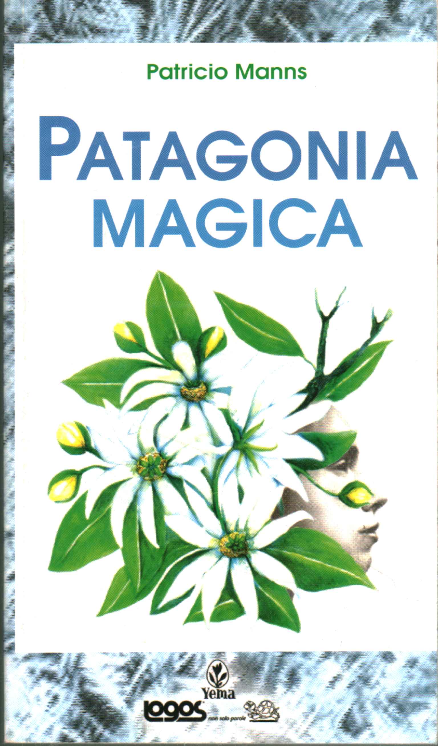 Patagonia Mágica