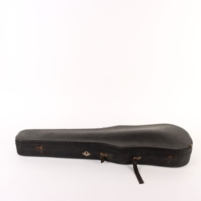 Violin with case