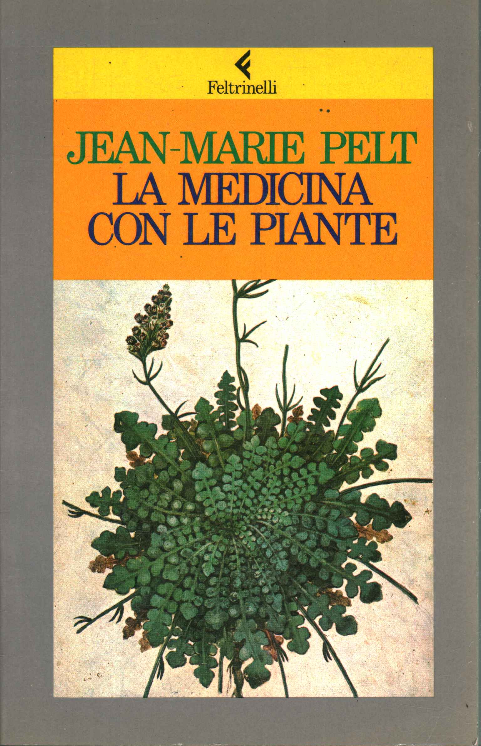 Médecine aux plantes