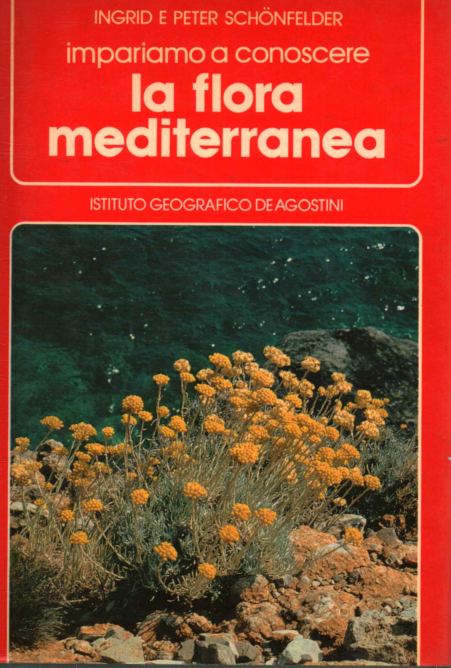 The Mediterranean flora