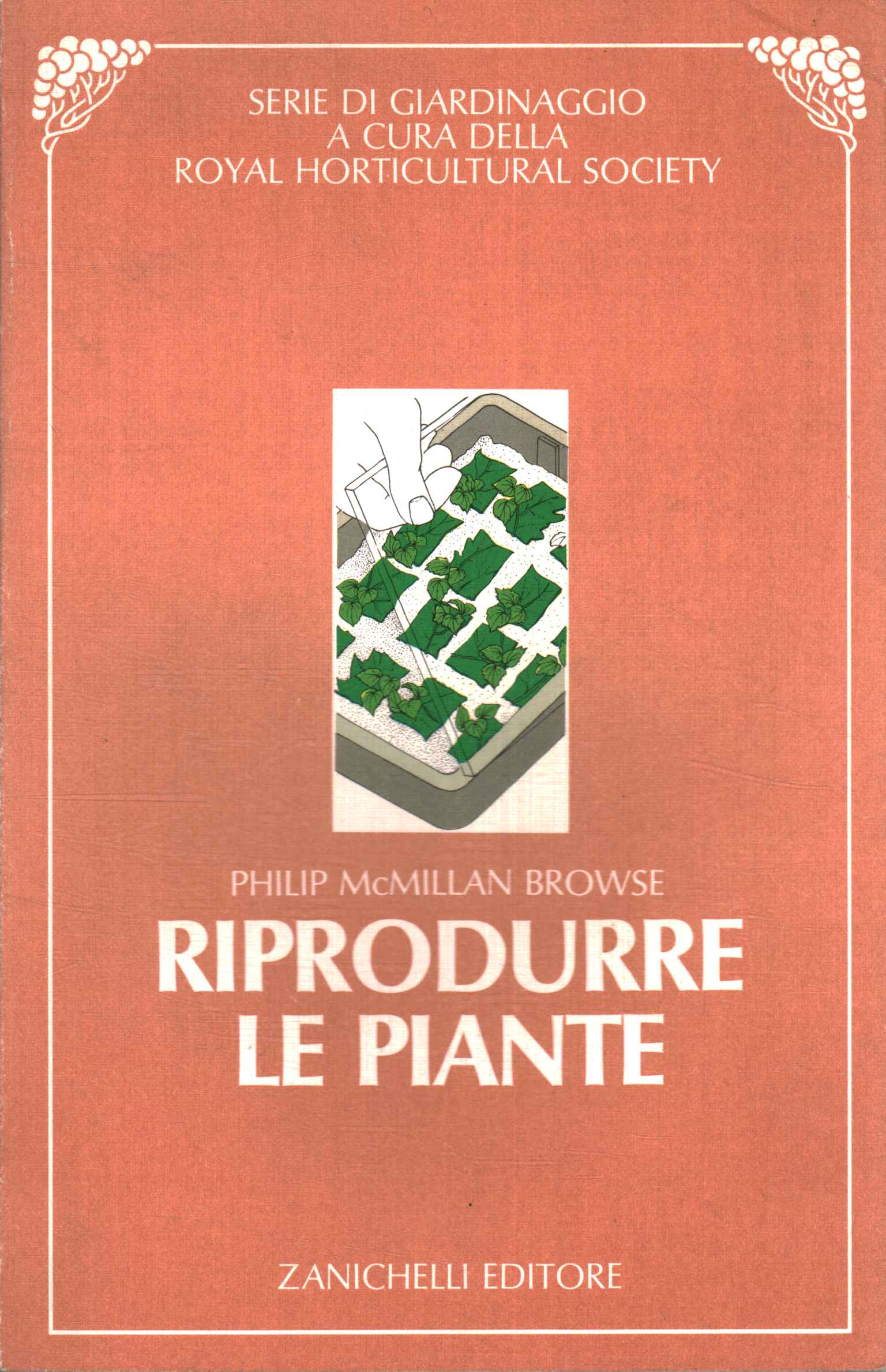 Riprodurre le piante