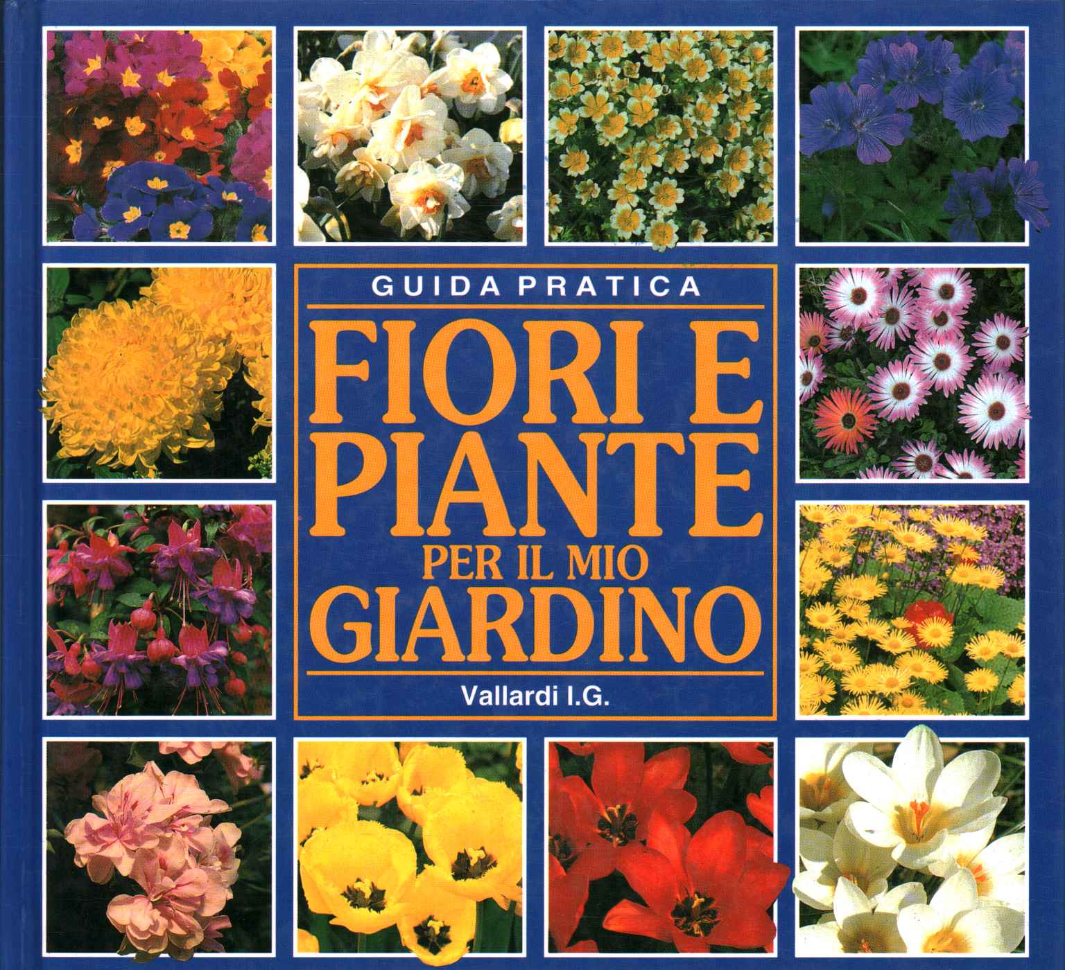 Fiori e piante per il mio giardino.