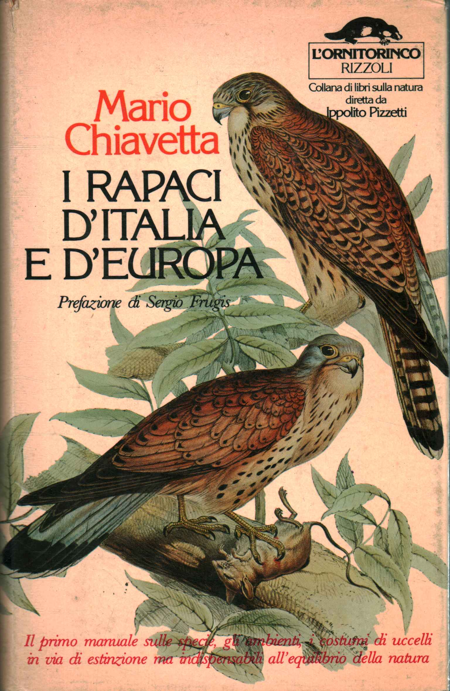 Les oiseaux de proie d'Italie et d'Europe