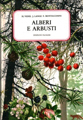 Alberi e arbusti