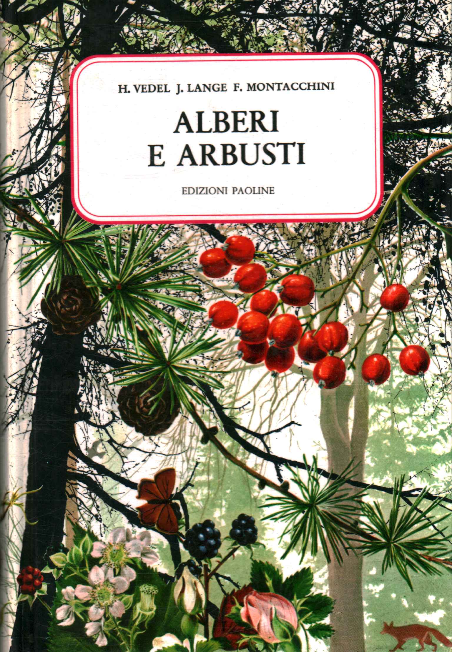 Alberi e arbusti