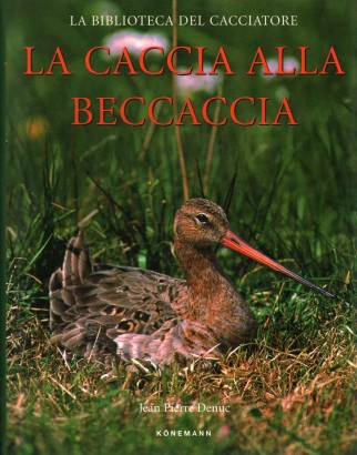 La caccia alla beccaccia