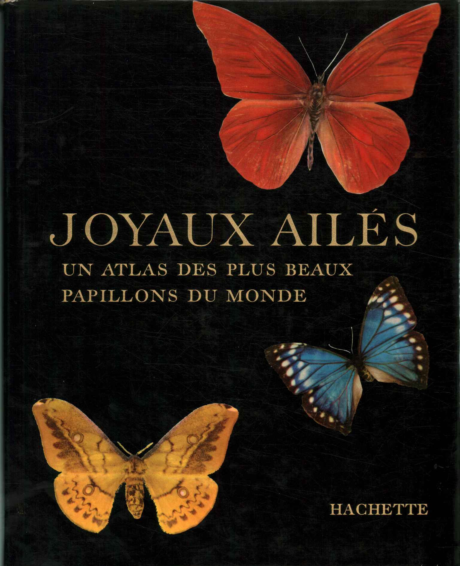 Joyaux Ailés