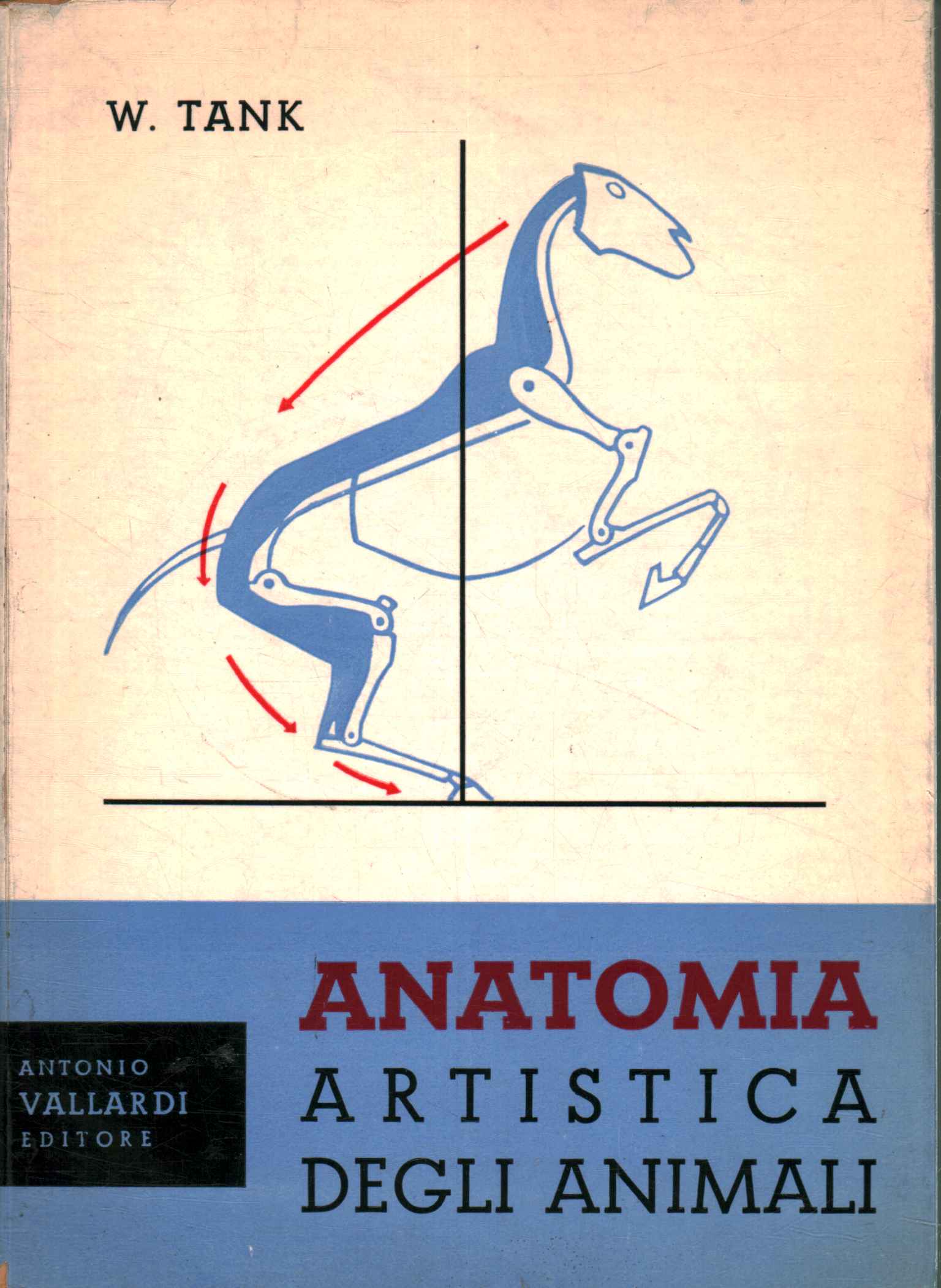 Anatomia artistica degli animali