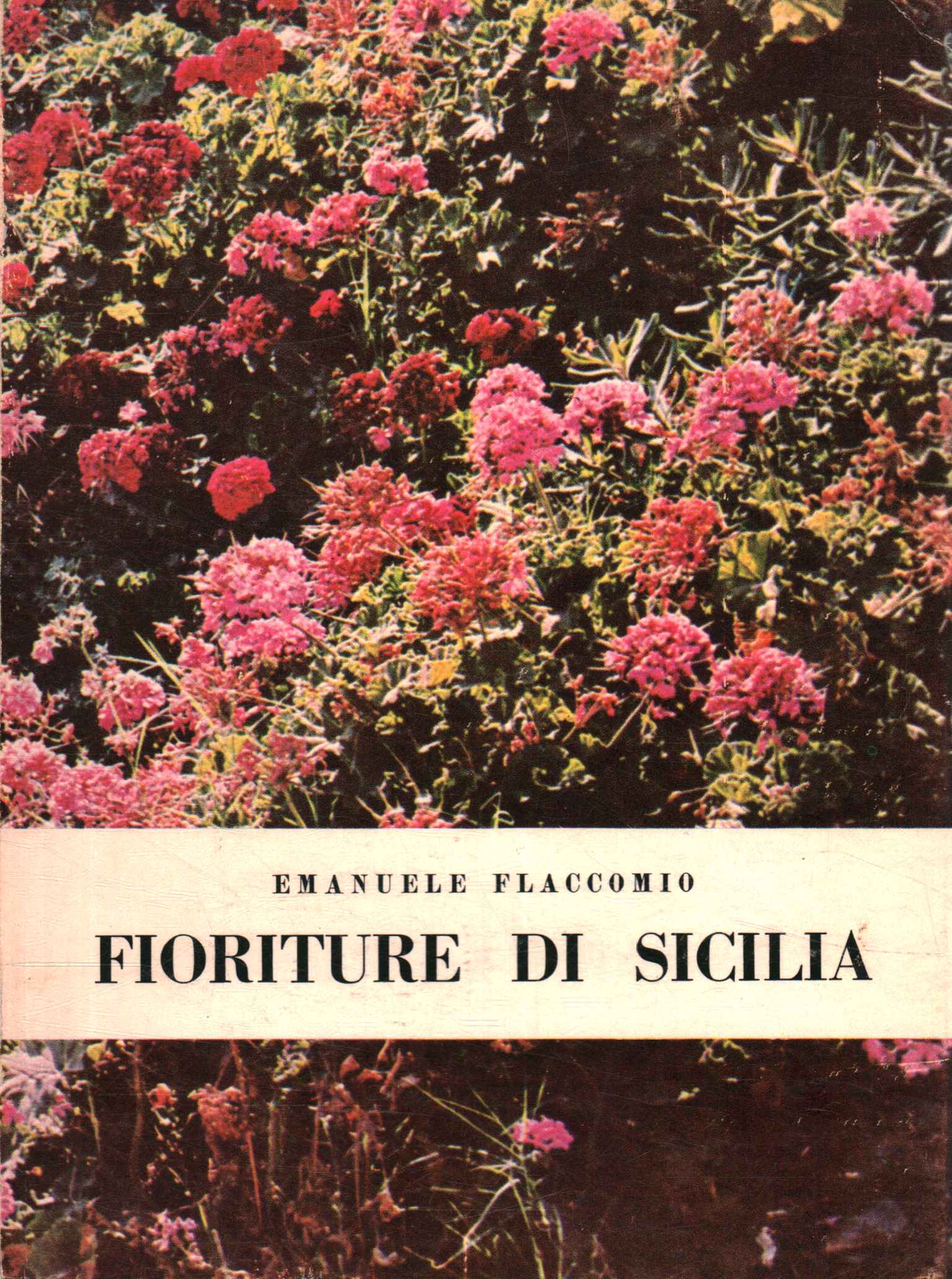 Fioriture di Sicilia