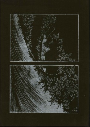 Le cento vedute del Fuji (2 Volumi)