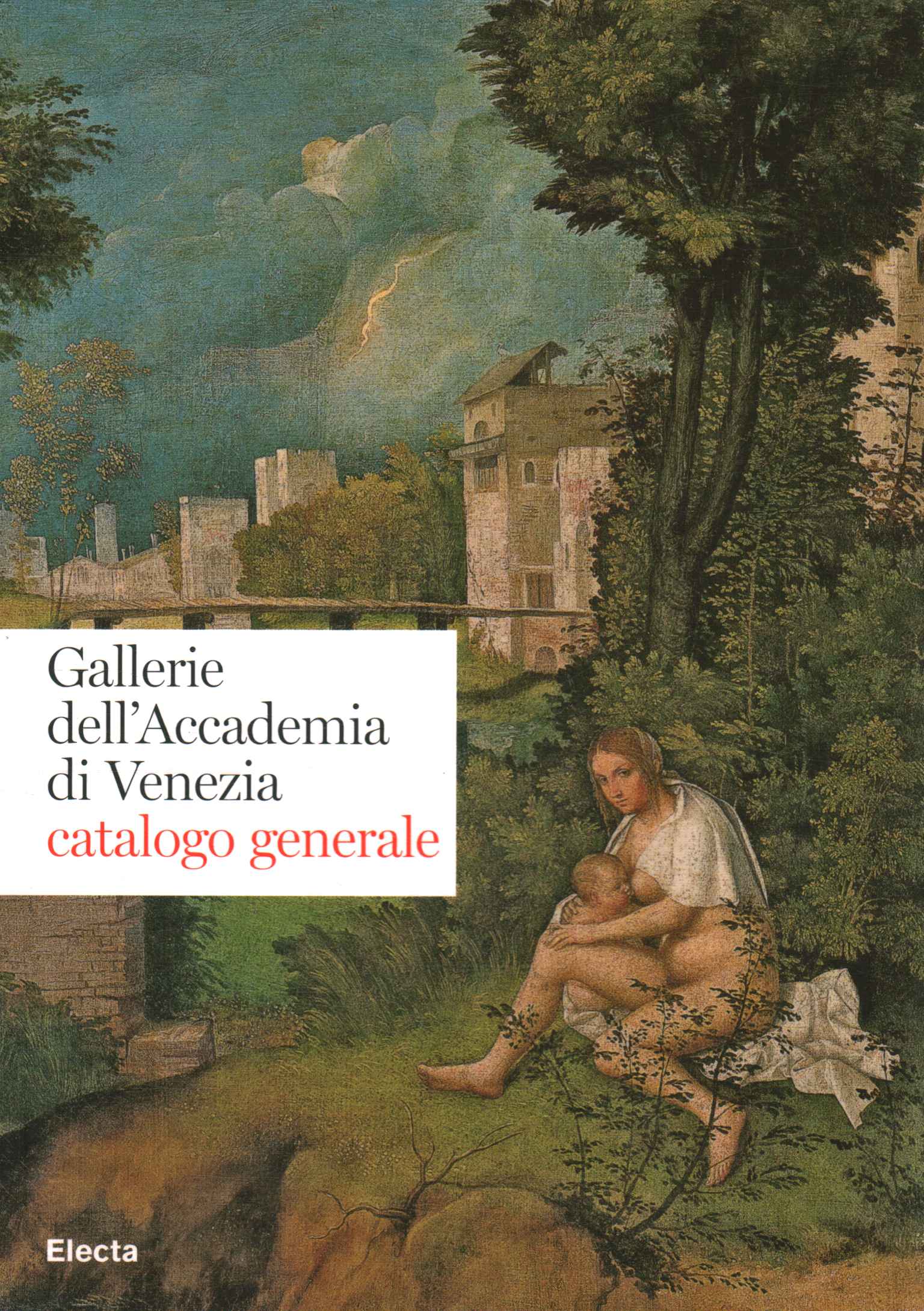 Gallerie dell'Accademia di Venezi