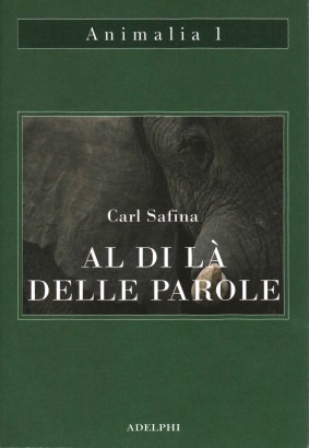 Al di là delle parole