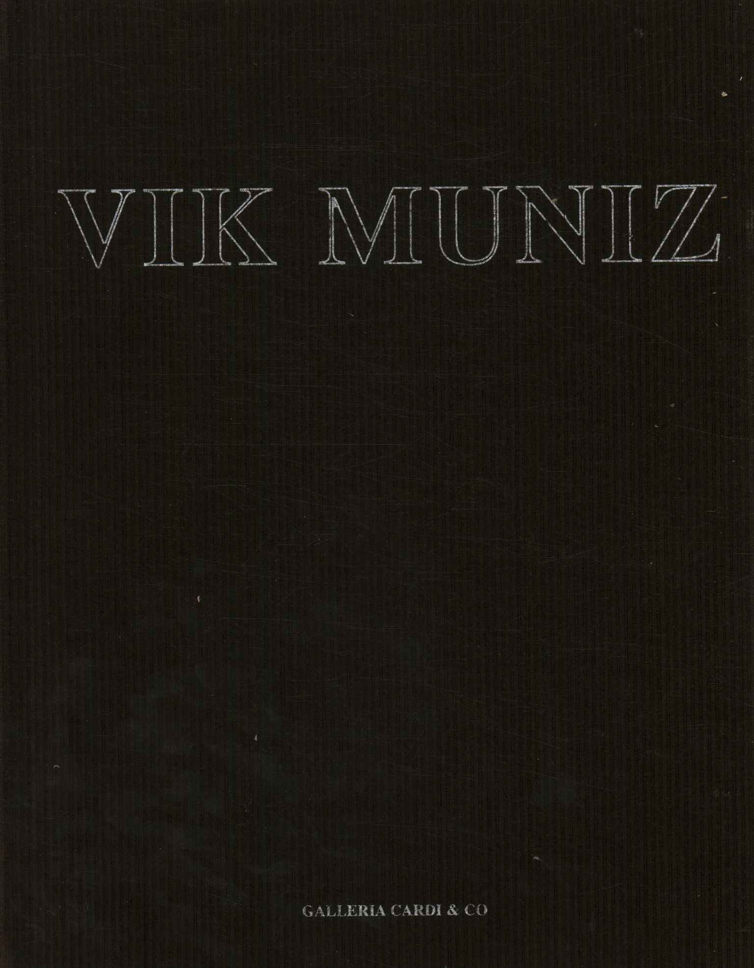 Vik Muñiz