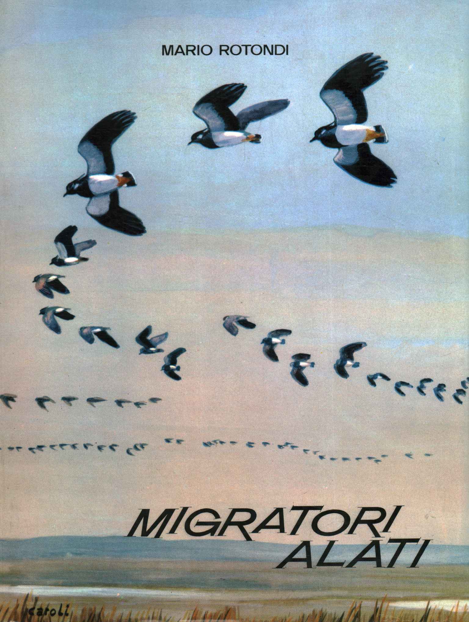 Migratori alati