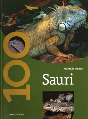 Sauri