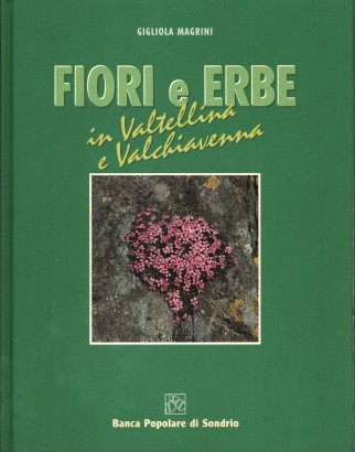 Fiori e erbe