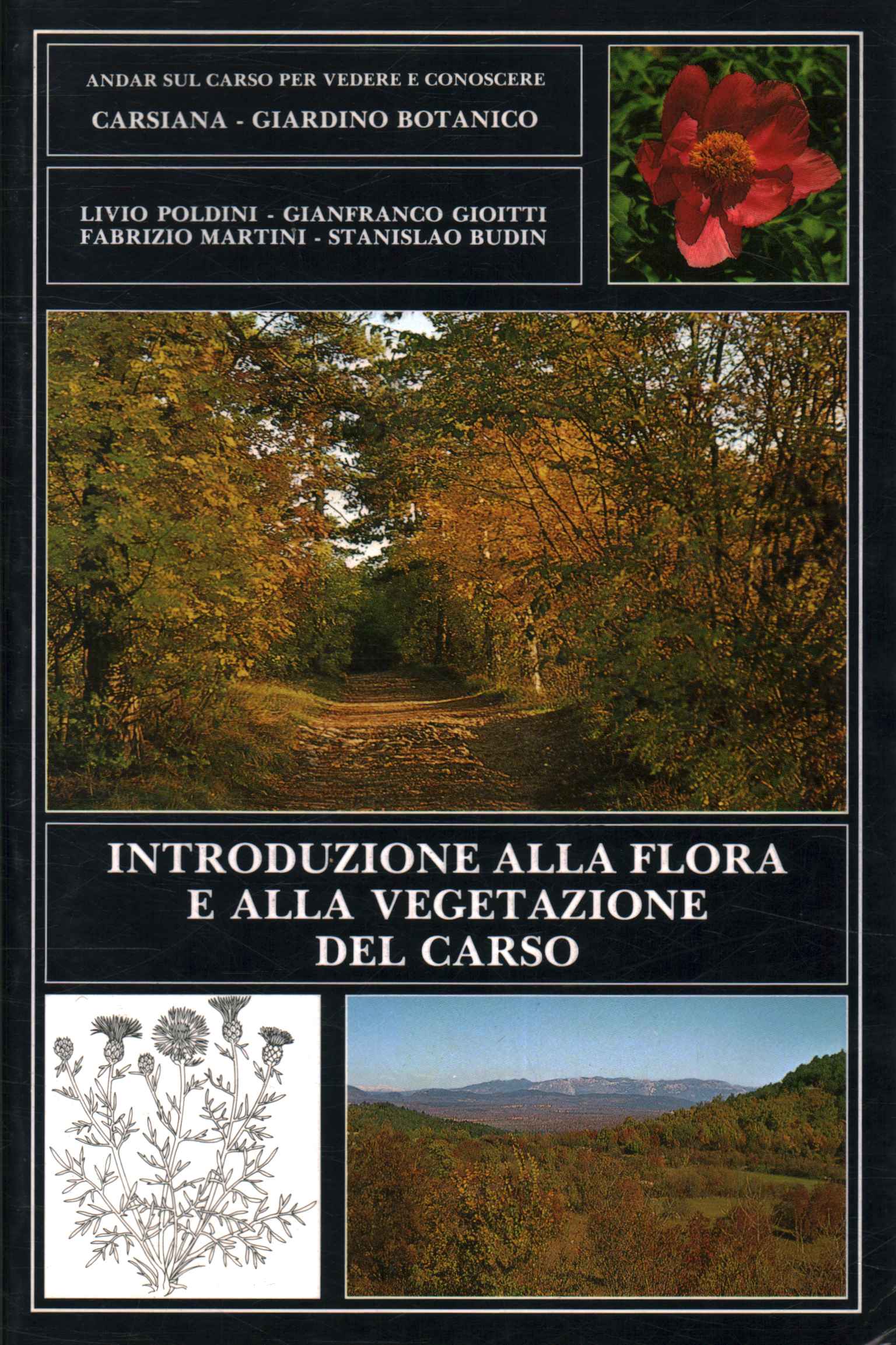 Introduzione alla flora e alla vegetazio