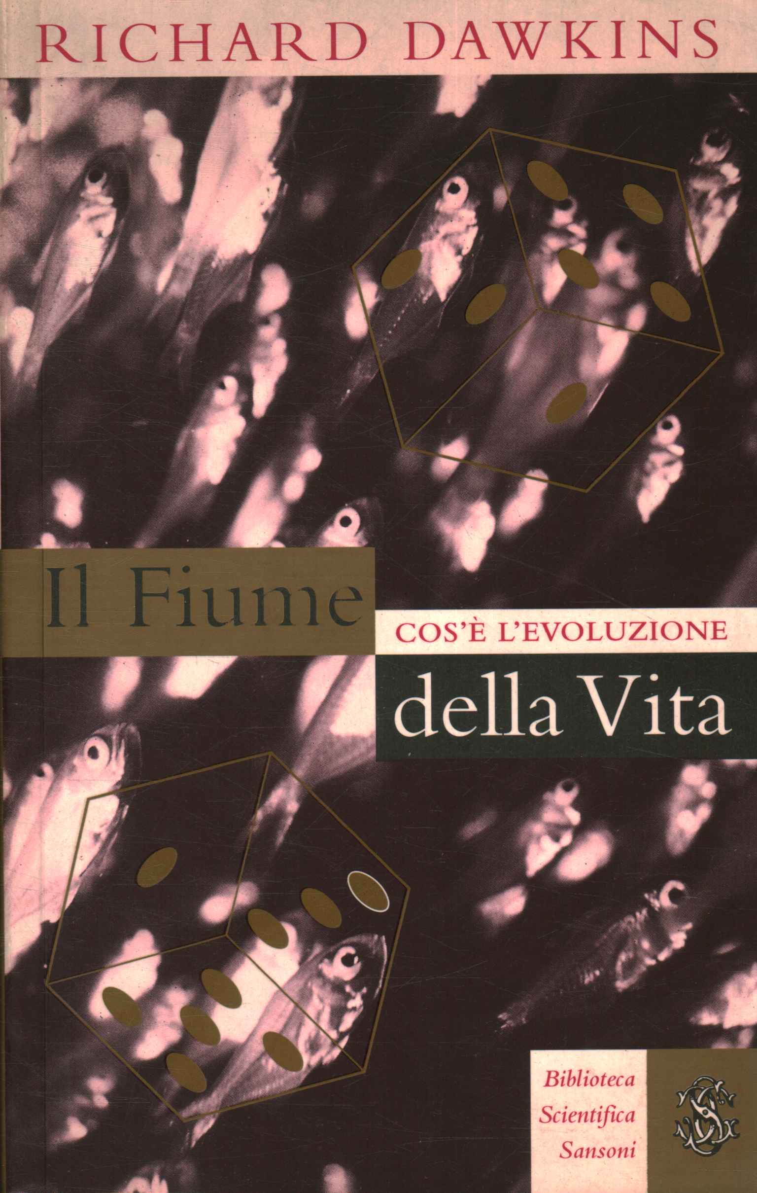 Il fiume della vita