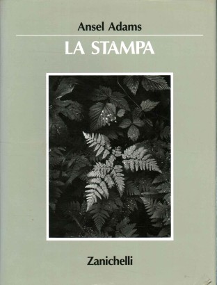 La stampa