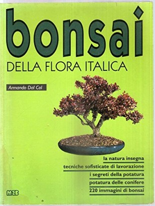 Bonsai della flora italica