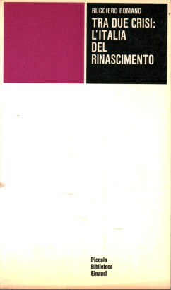 Tra due crisi: l'Italia del Rinascimento