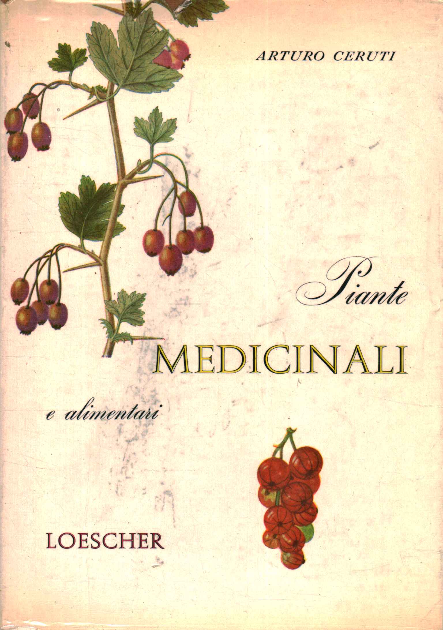 Plantas medicinales y alimenticias