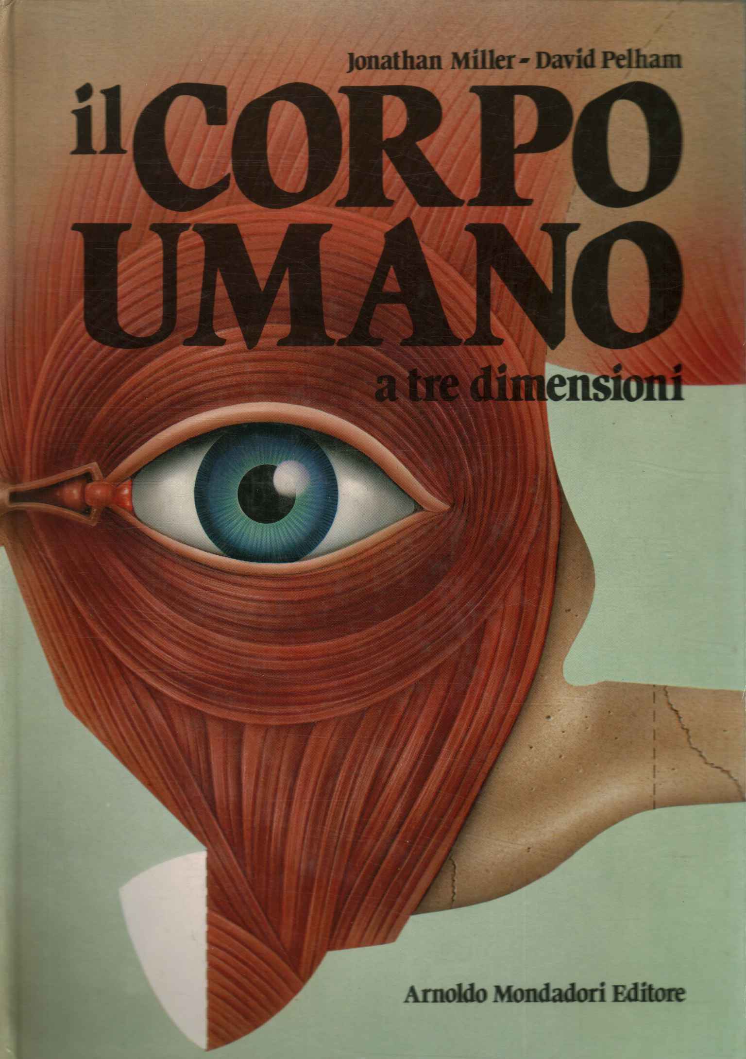 Il corpo umano