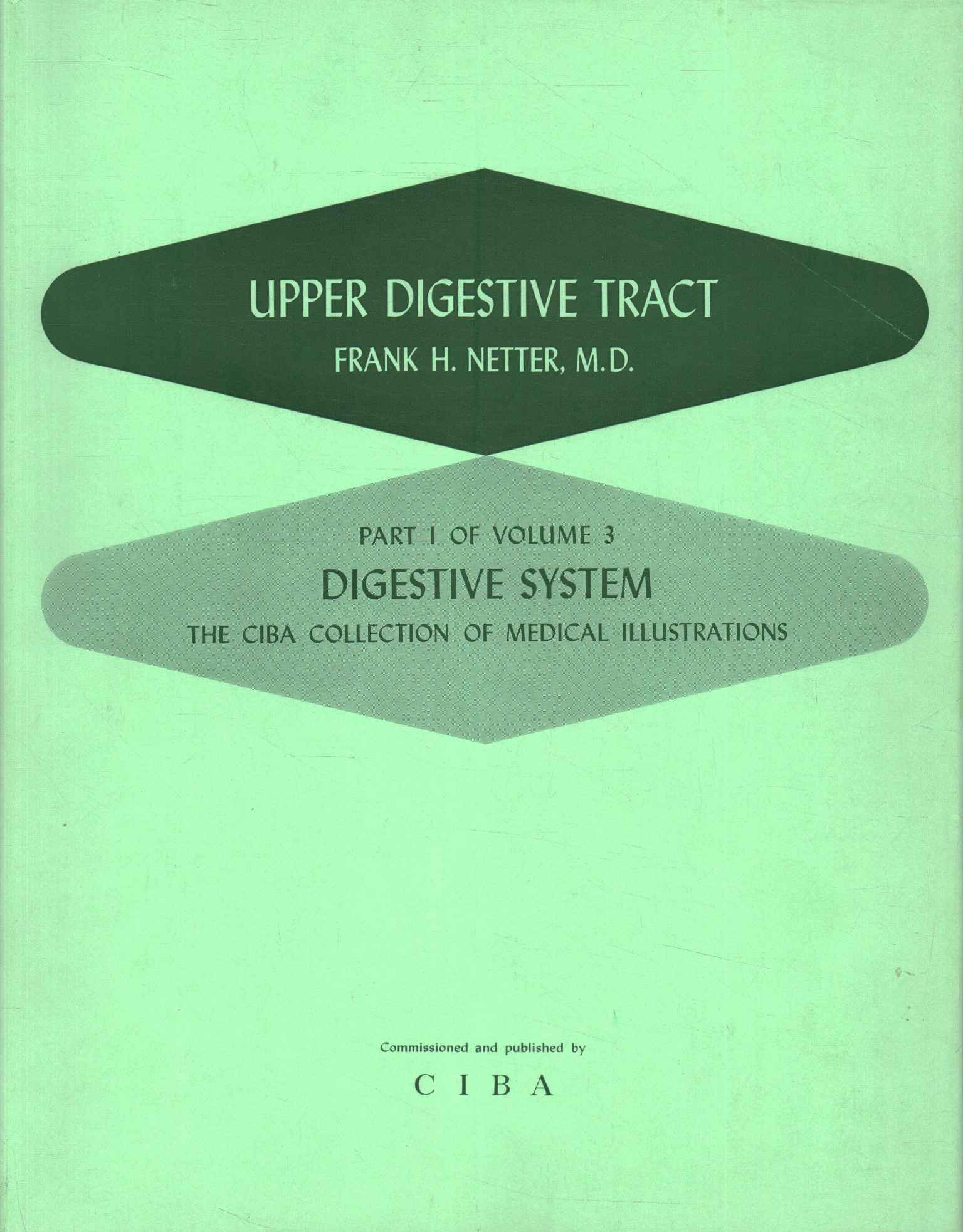 Digestive System