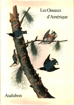 Les oiseaux d'Amérique