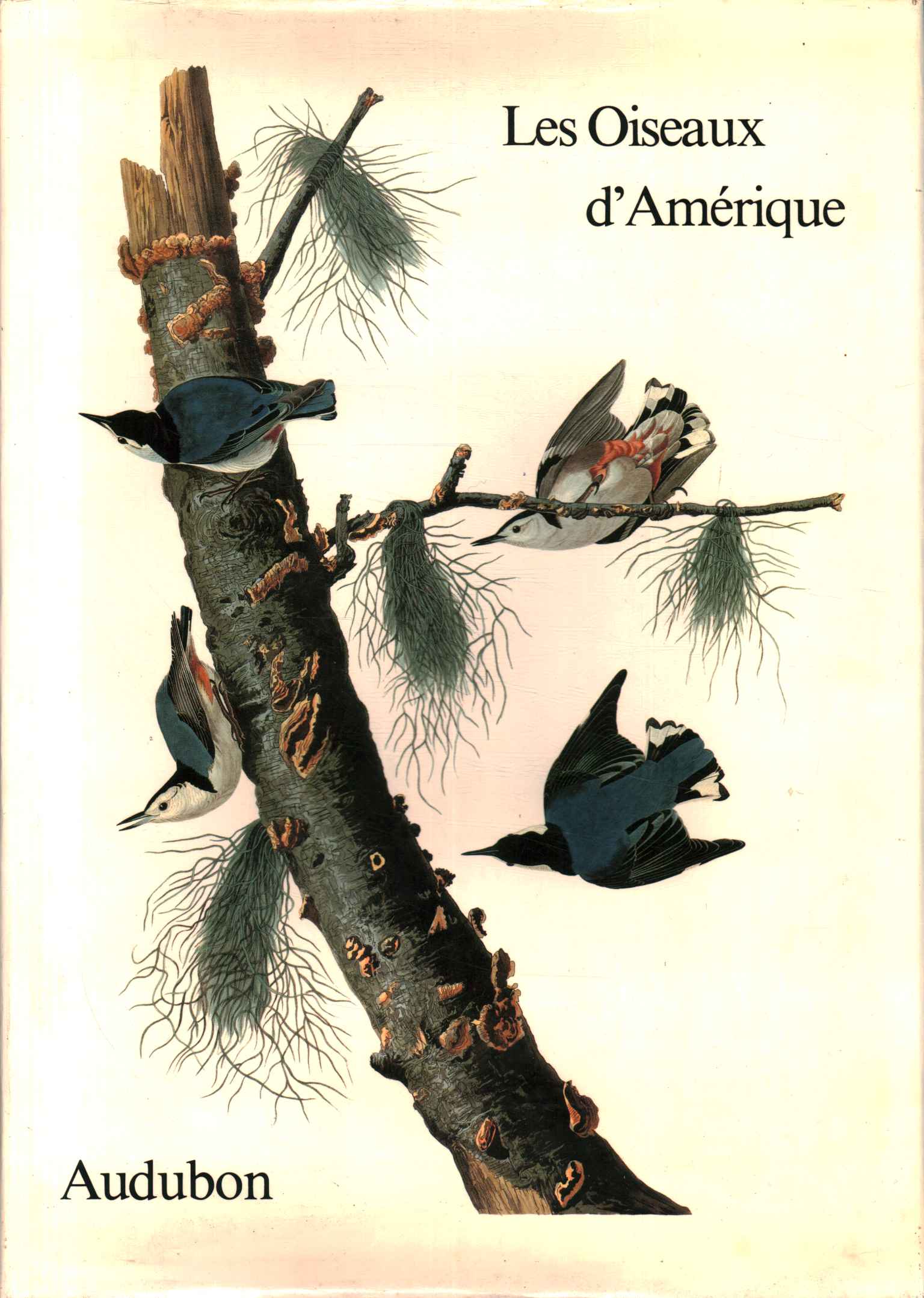 Las aves de América