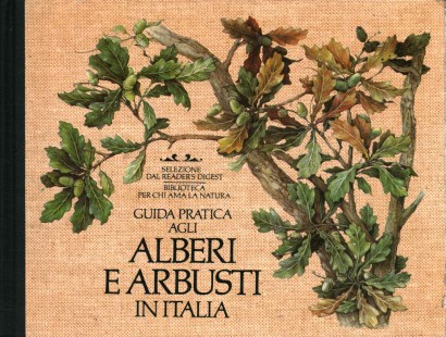 Guida pratica agli alberi e arbusti in