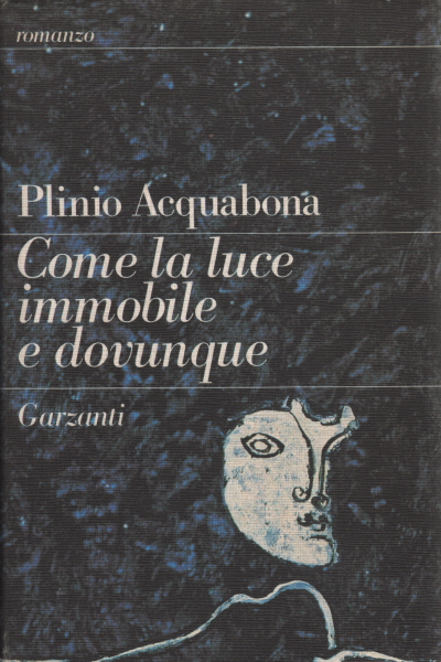 Come la luce immobile e dovunque, Plinio Acquabona