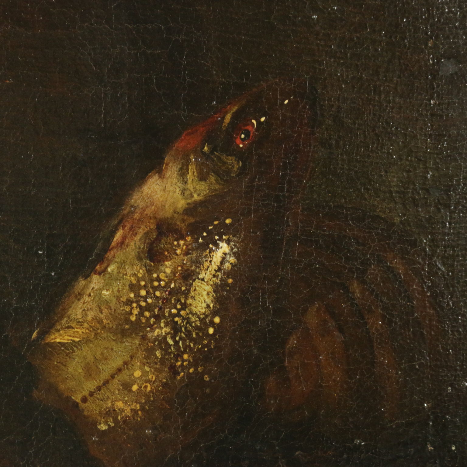 Natura morta con pesci e conchiglia, Ambito di Elena Recco, Arte, Pittura  antica