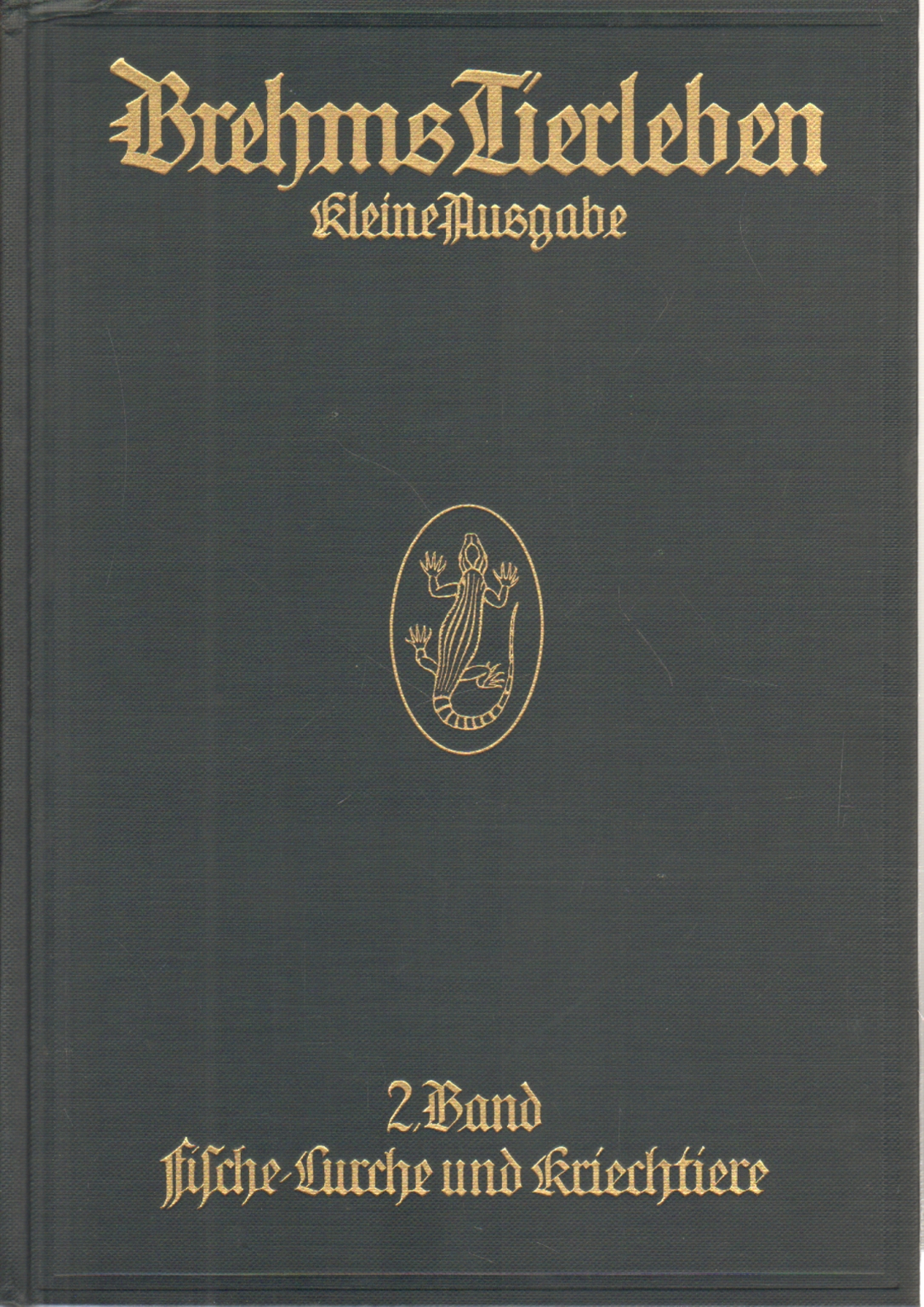 Die Physical Lurche und Kriechtiere, Alfred Brehm