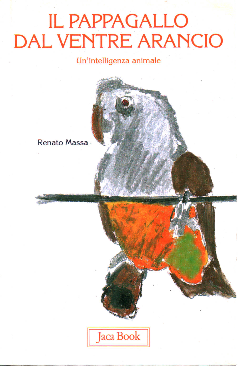 Le perroquet, par le ventre orange, Renato Massa