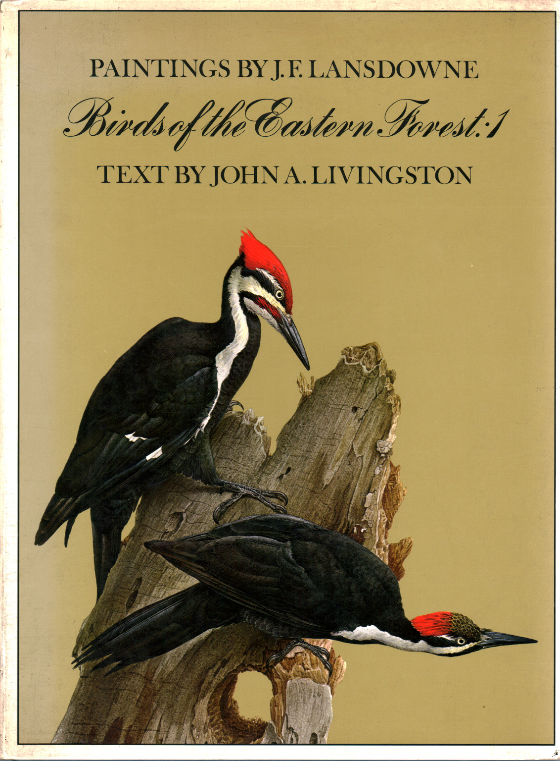 Les oiseaux de l'est de la Forêt. Vol. 1, s.un.