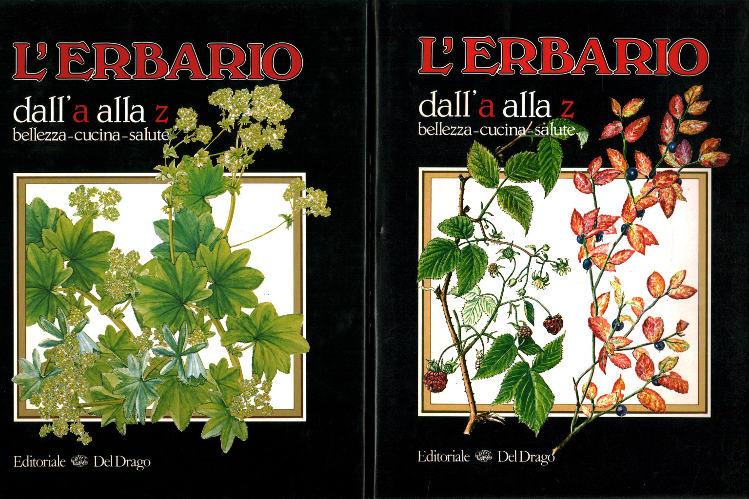 L'erbaio dalla a alla z (2 Volumi), s.a.