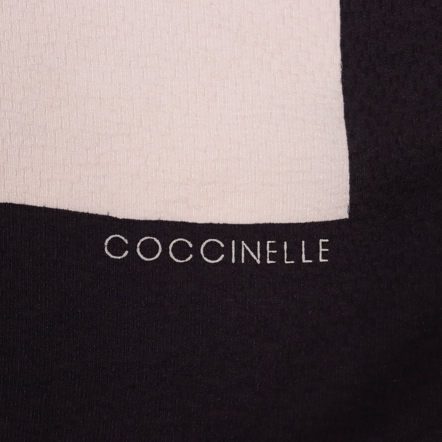 Coccinelle Scarf Silk Italy Pure Silk Clothing House Linens