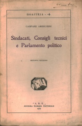 Sindacati, Consigli tecnici e Parlamento politico