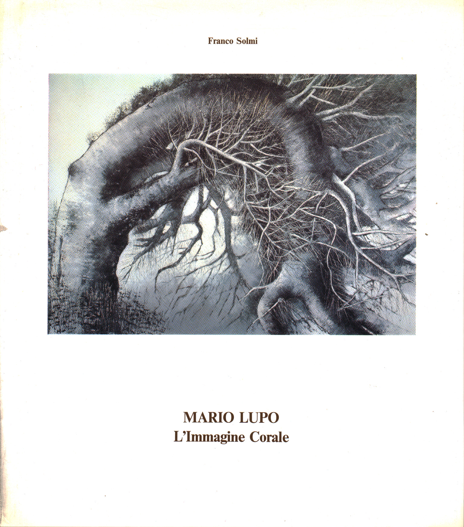 Mario Lupo - L'immagine Corale%