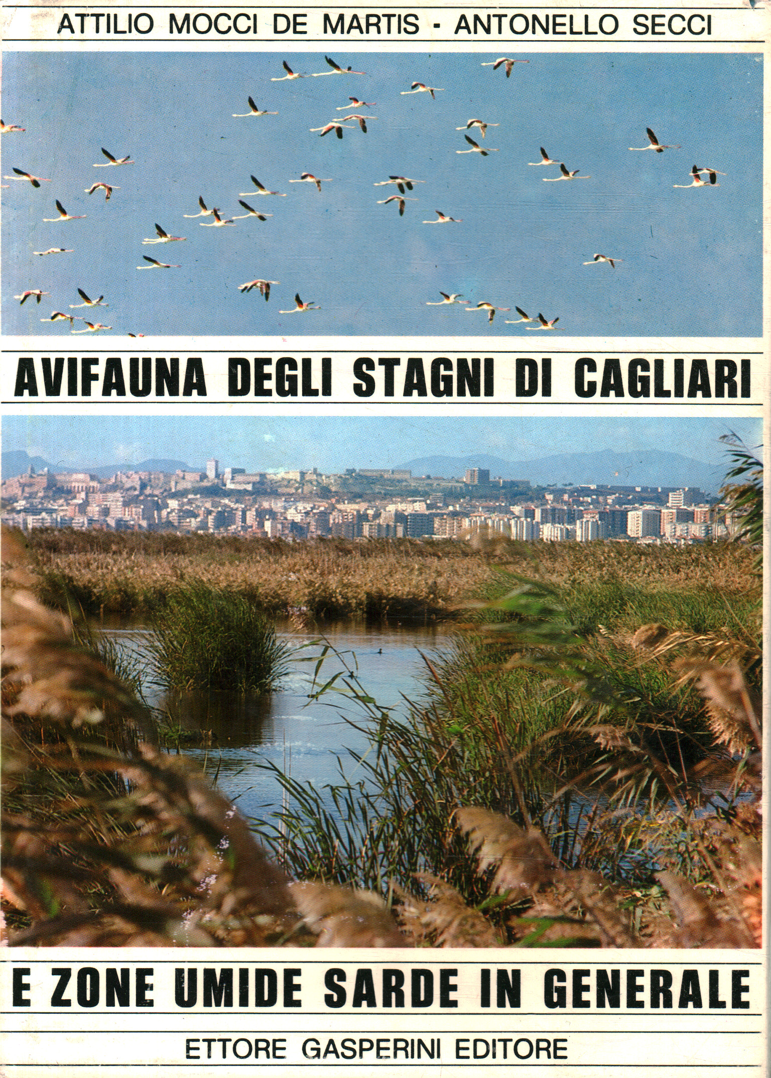 Avifauna der Teiche von Cagliari und zo