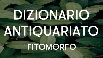 fitomorfo