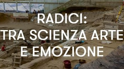 radici